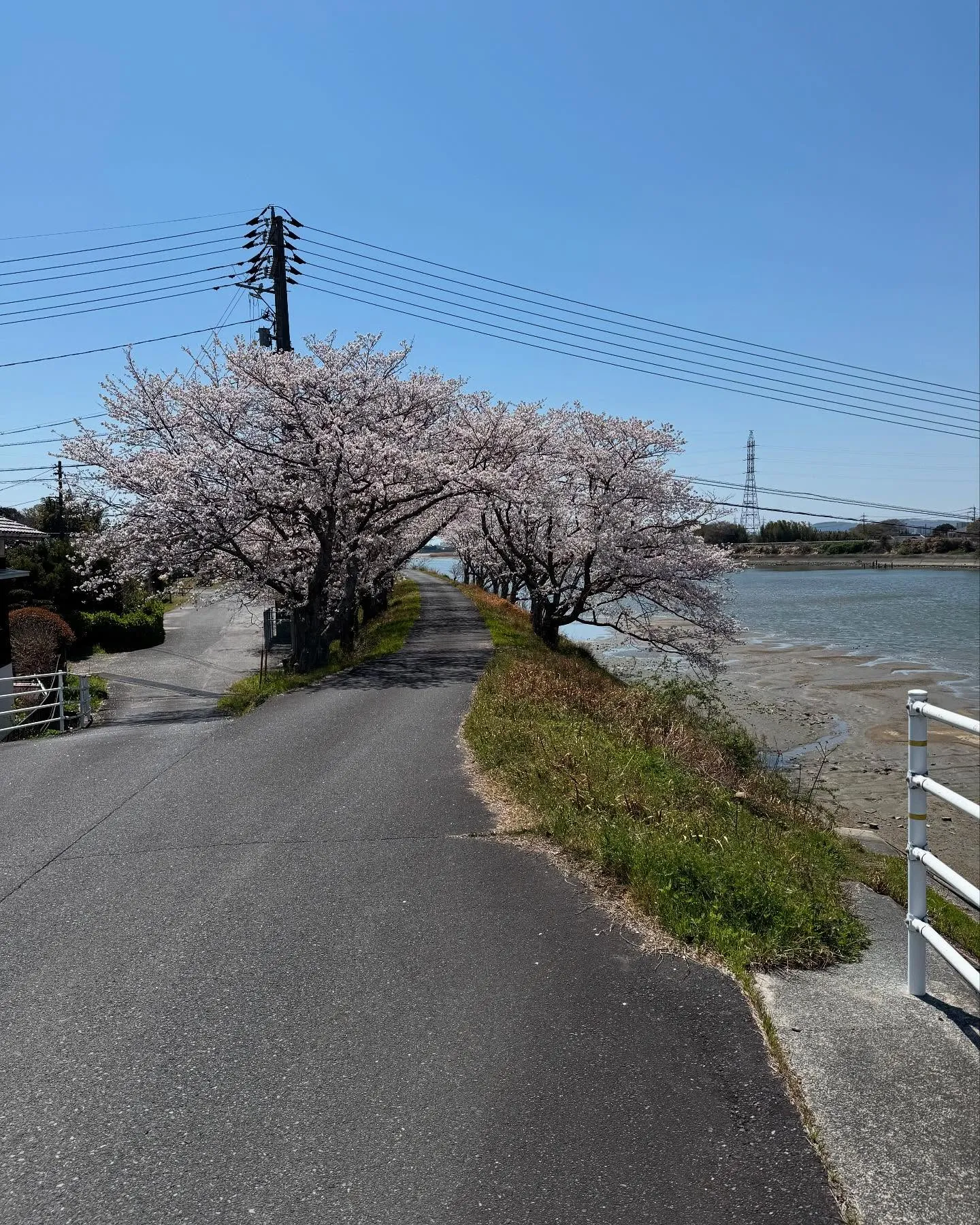【今日は😀】