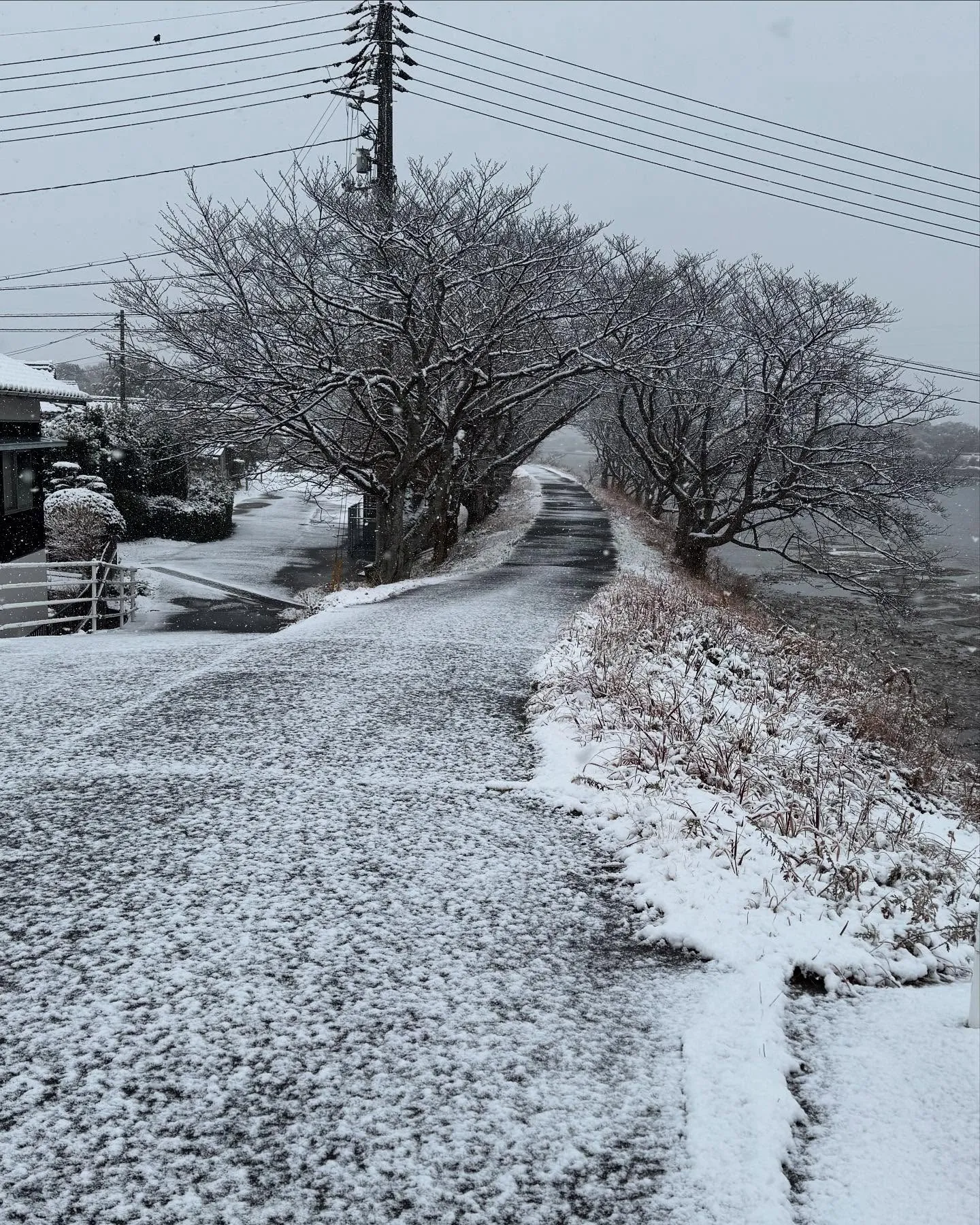 【今日は😀】