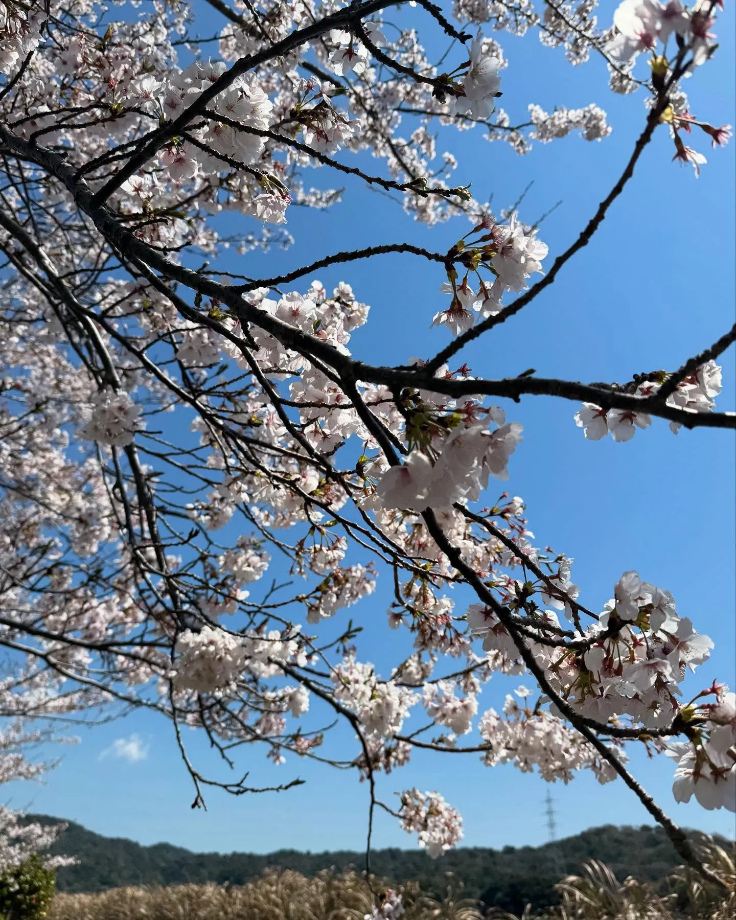 【今日は😀】