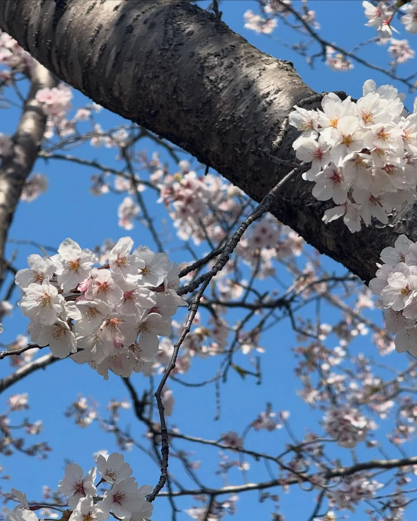 【今日は😀】