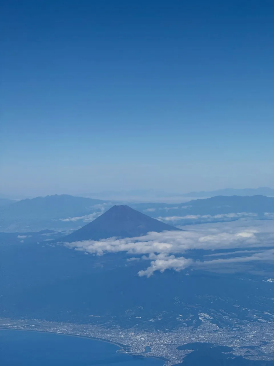 【最新情報】